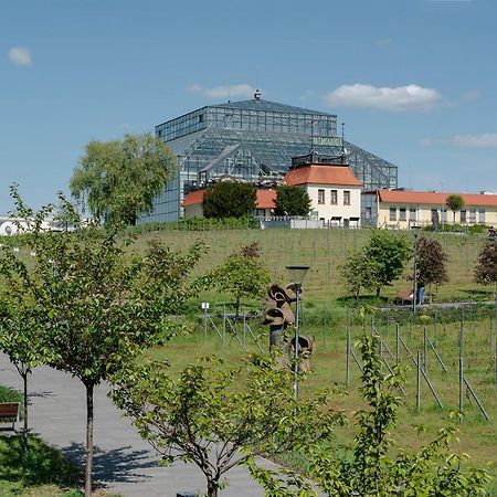 W12 Home Station - Apartement Greenpink Zielona Góra Kültér fotó