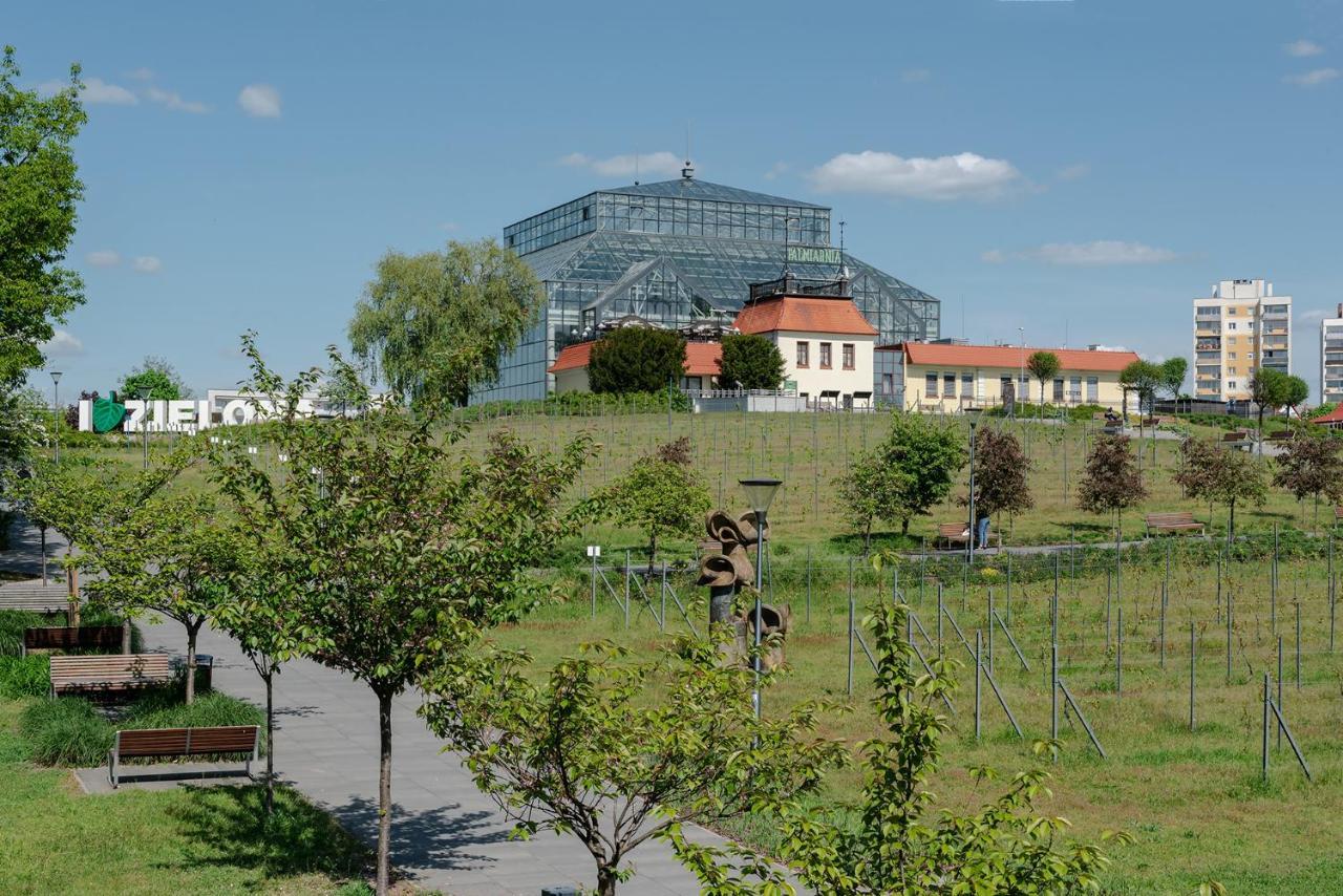 W12 Home Station - Apartement Greenpink Zielona Góra Kültér fotó
